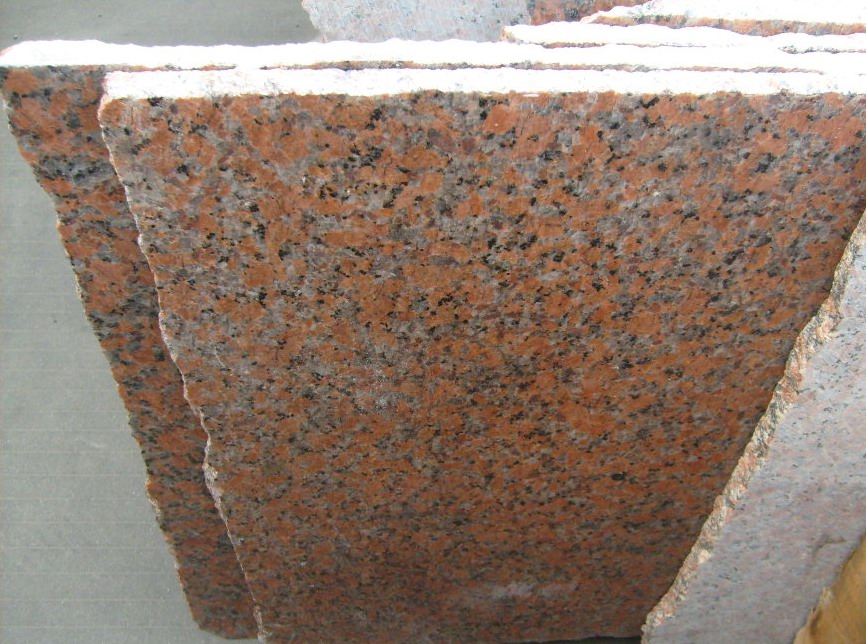 S6302174.JPG